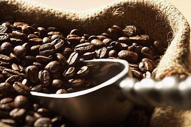 科隆：开放世界生存网游《沙丘：觉醒》预告片