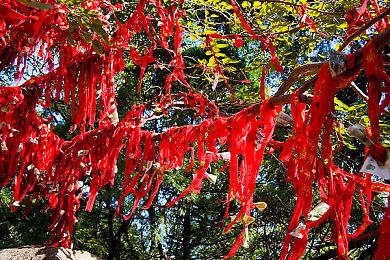 PS5《霍格沃茨之遗》玩家数少了一半 已经凉了？